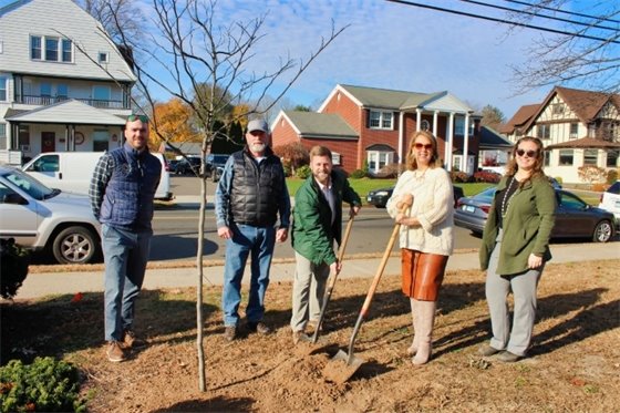 UI’s parent company, Avangrid, plants 2 redbud trees on West Haven Green