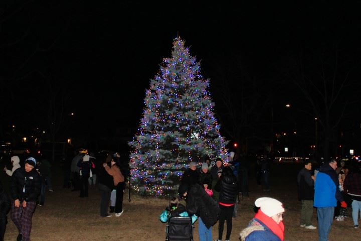 Christmas Tree Lighting 2024 124 II (Small)