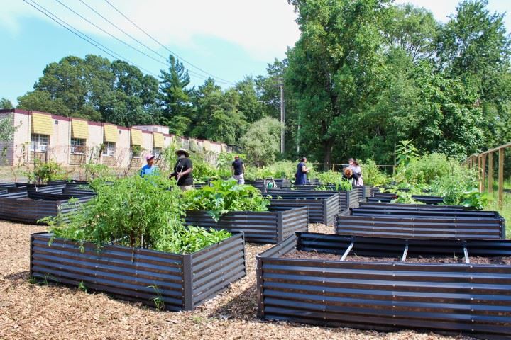 Imani Garden Dedication 006 II (Small)