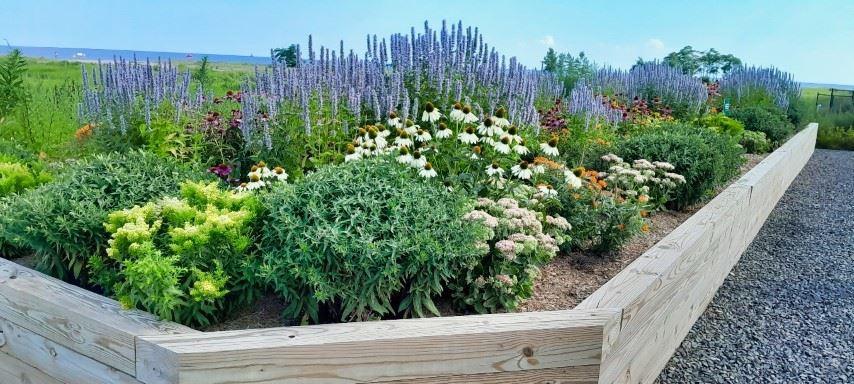 Sandy Point Page Photo 2 II (Small)